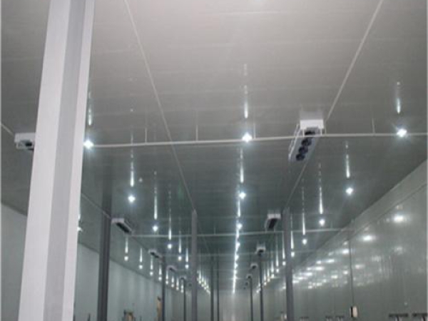 建造安裝食品低溫冷藏庫有哪些因素影響造價？